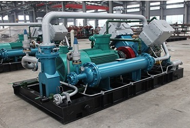 Petroleum Gas Compressor for biogas plant-3